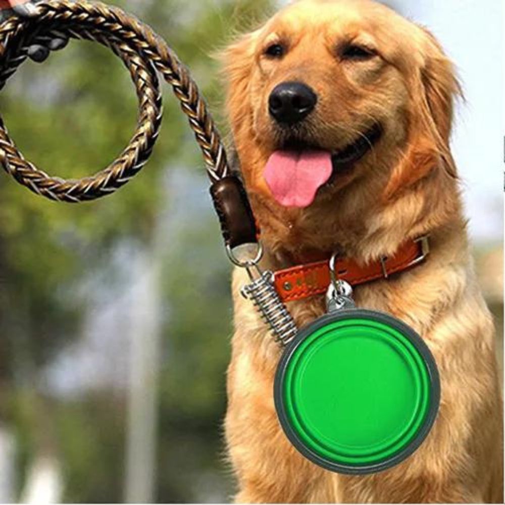 gamelle-de-voyage-pour-chien-vert