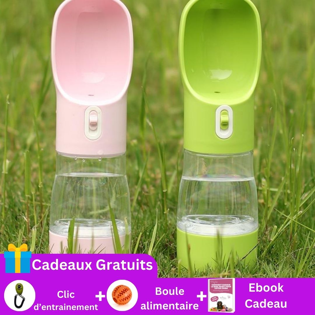 gourde-pour-chien-cadeau