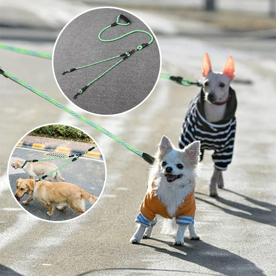 laisse-pour-chien-compagnon