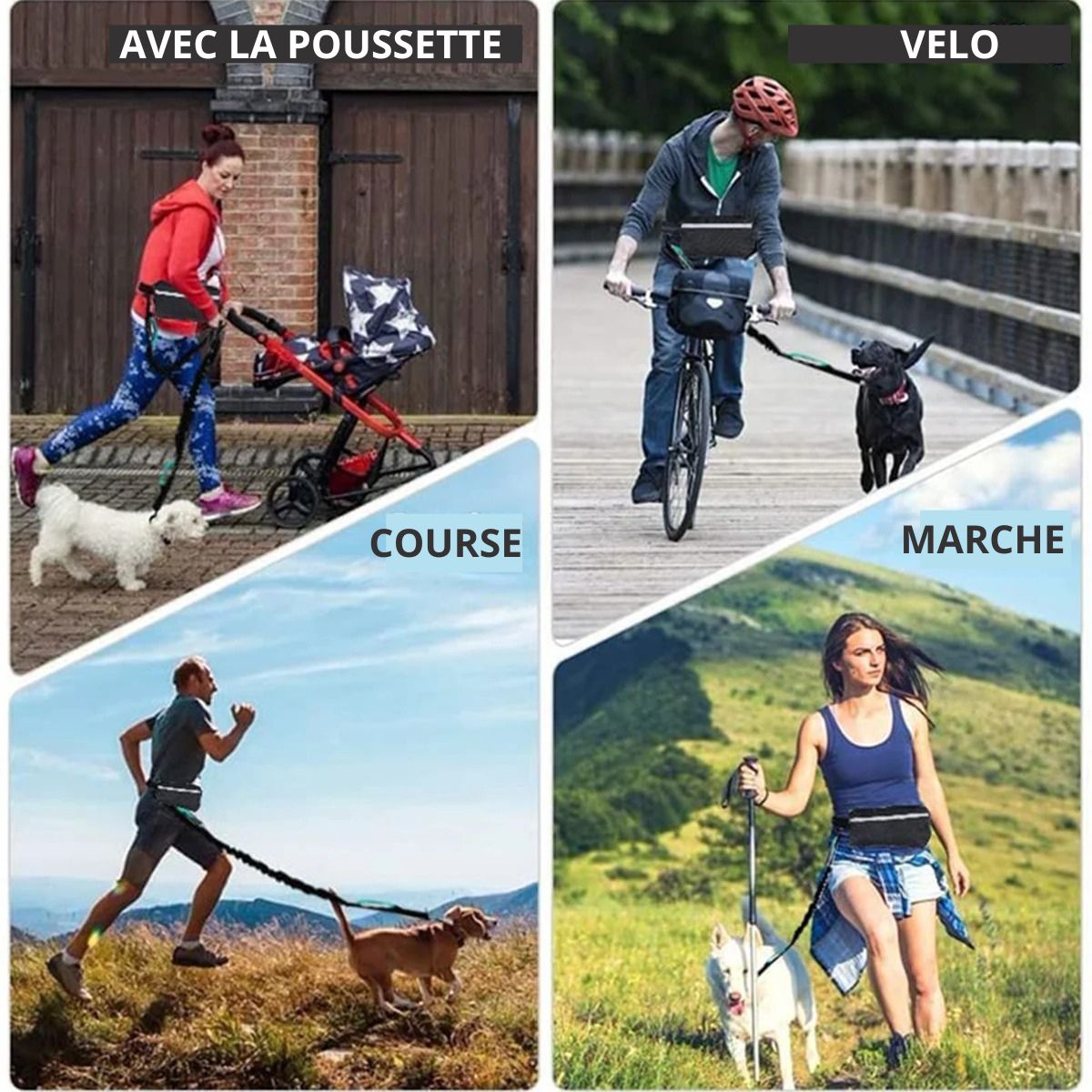laisse-pour-chien-main-libre-sport
