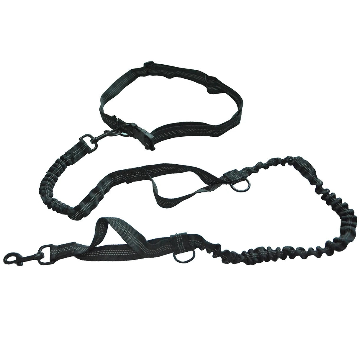 laisse-pour-chien-noir