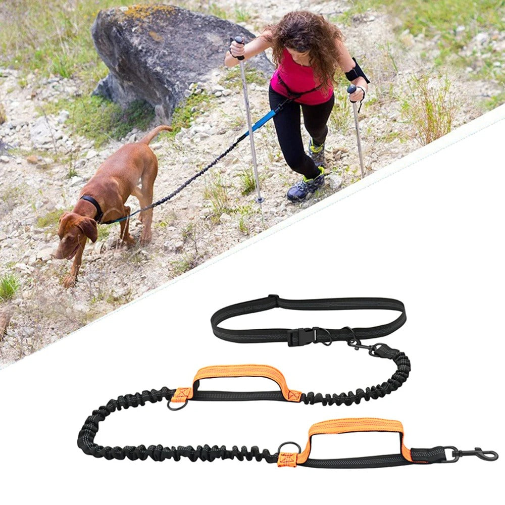 laisse-pour-chien-orange