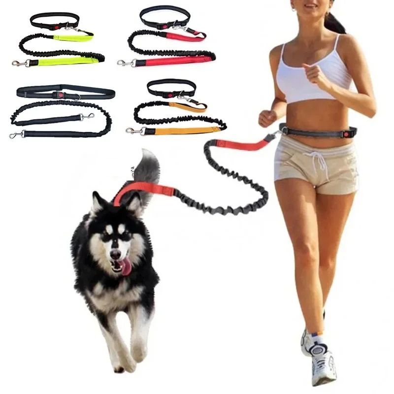 laisse-pour-chien-rouge