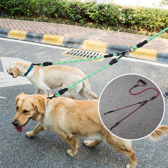 laisse-pour-chien-tandem