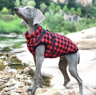 manteau-pour-chien-carreau