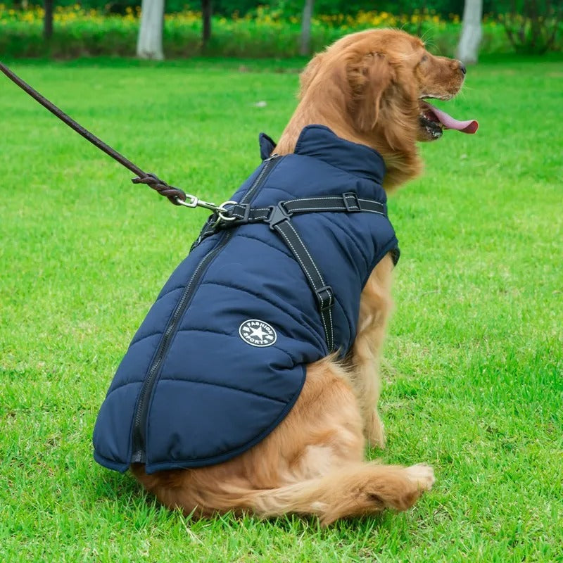 manteau-pour-chien-marine