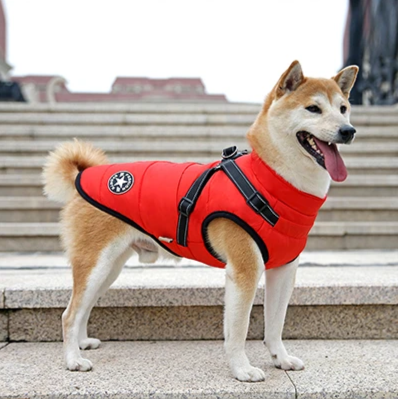 manteau-pour-chien-rouge