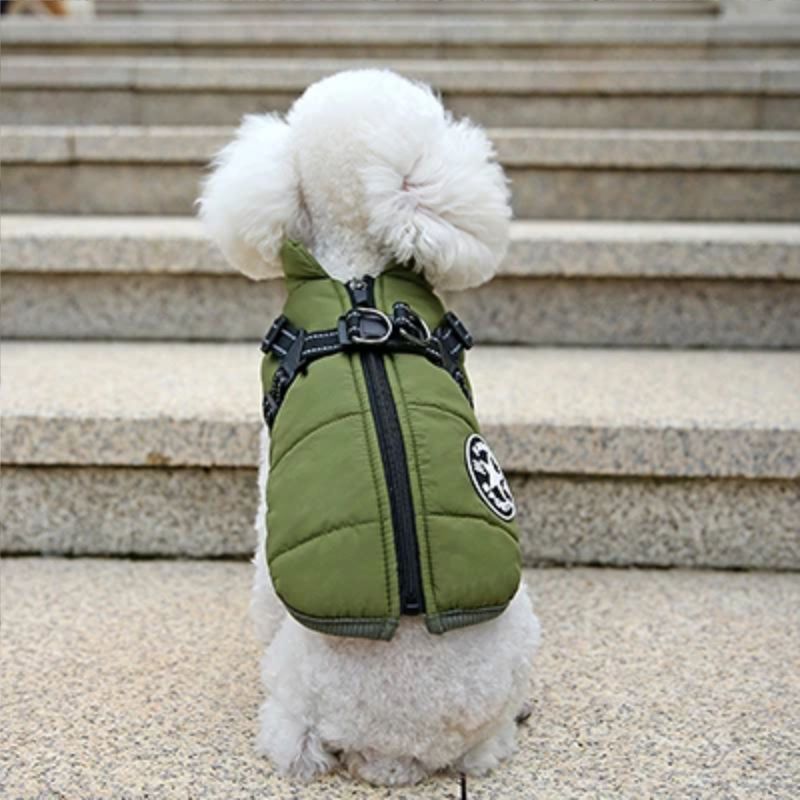manteau-pour-chien-vert