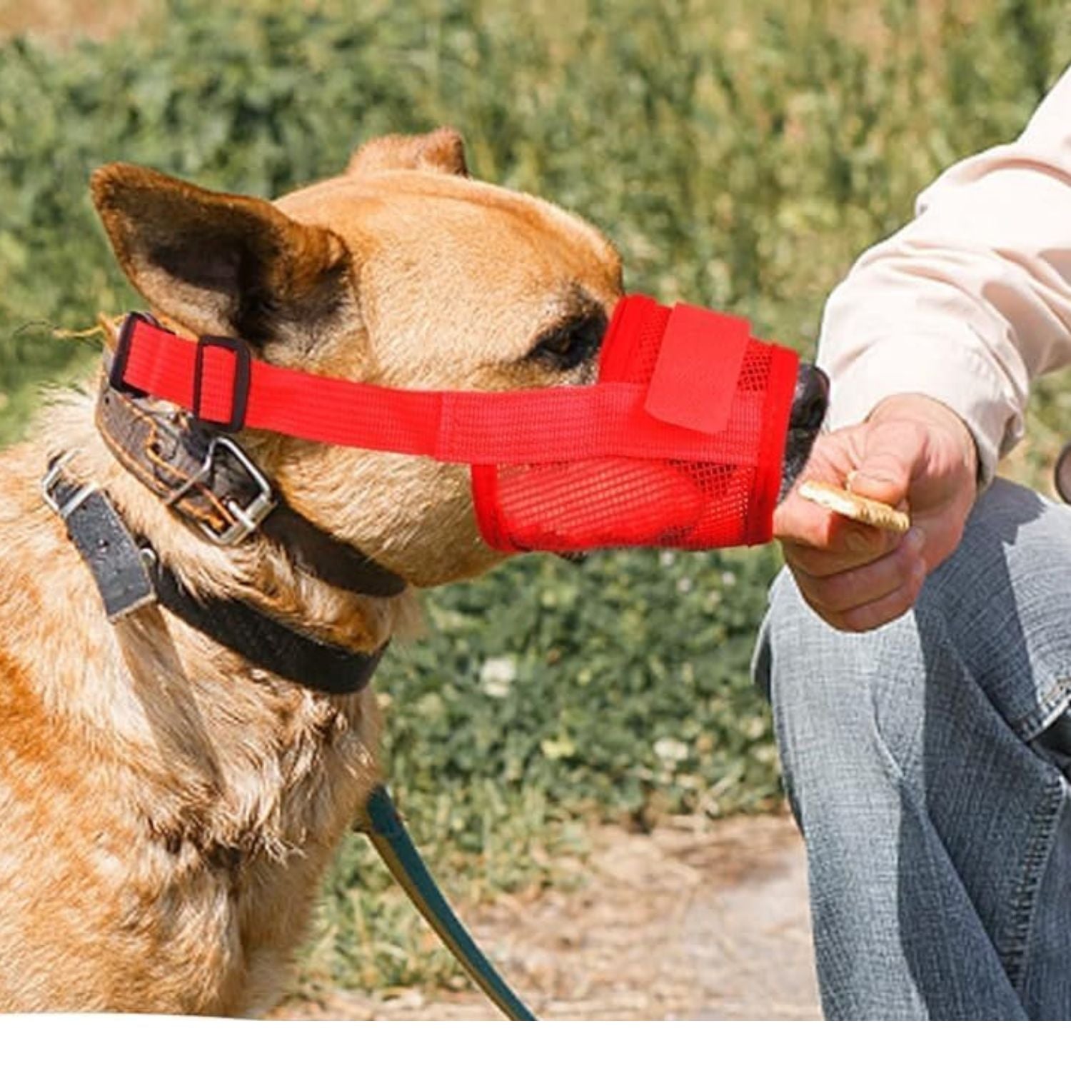 Selected Variant Image