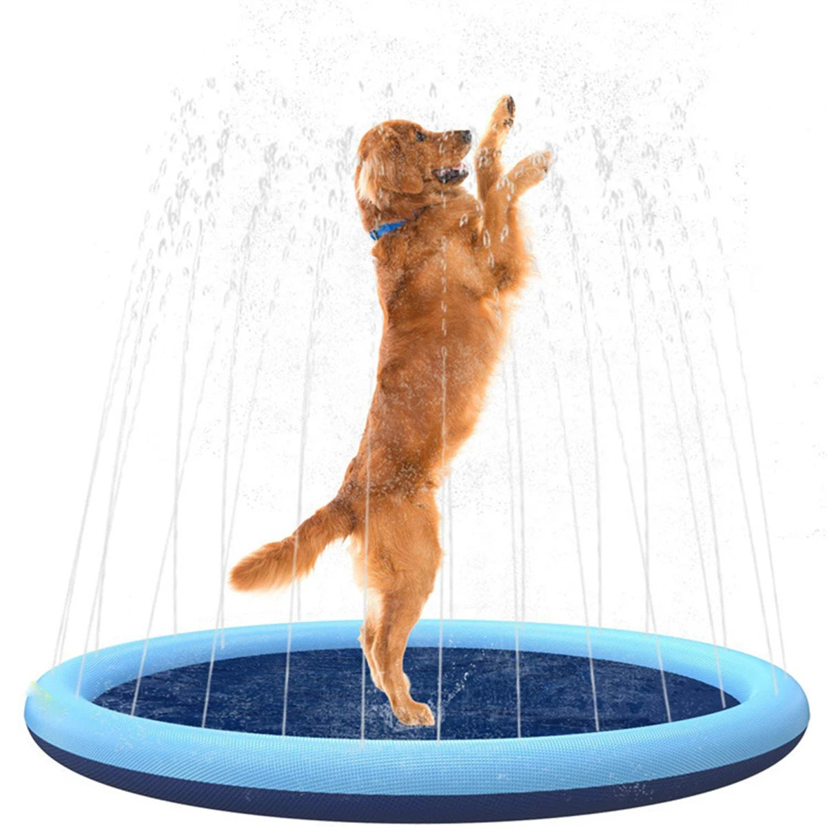 piscine-pour-chien-plaisir