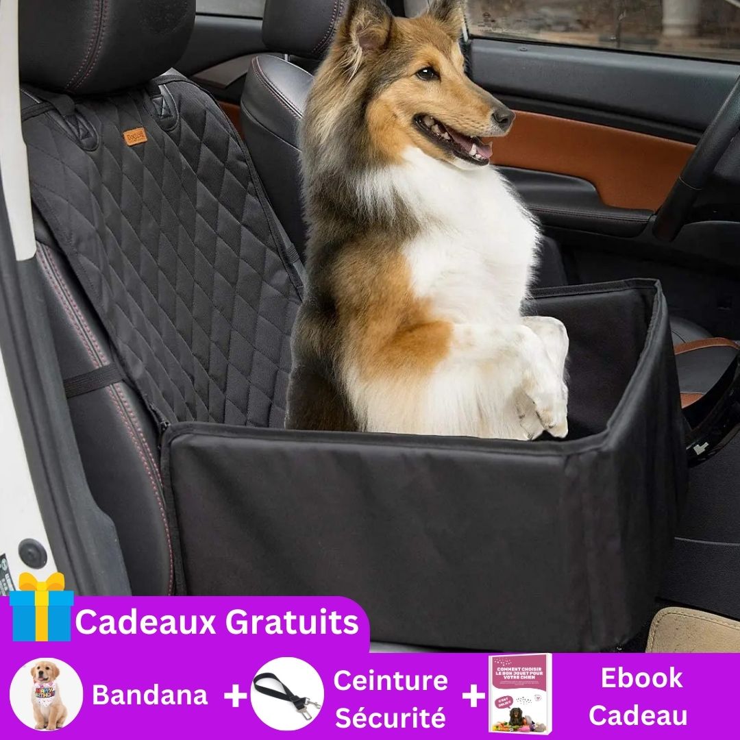 siège-auto-pour-chien-cadeau