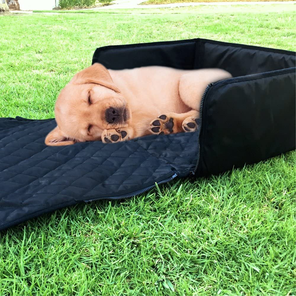 siège-auto-pour-chien-chiot