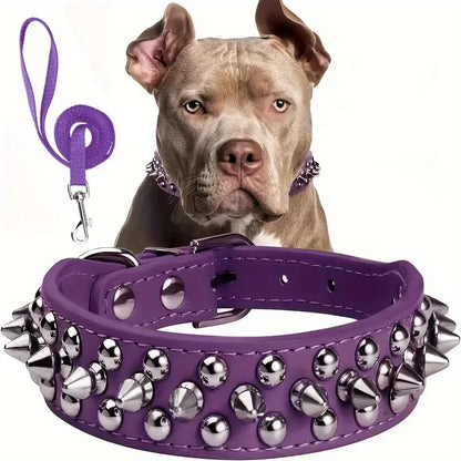 Collier Chien-SpikeCollar™