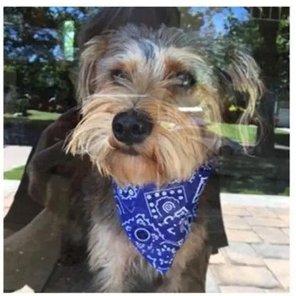 bandana-pour-chien-marine