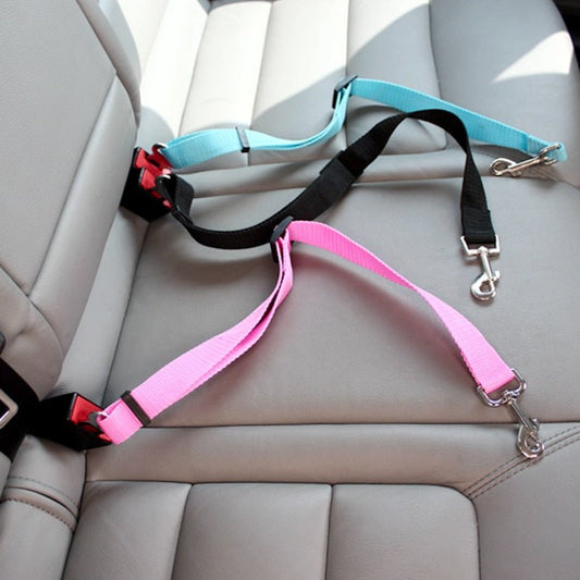 ceinture-de-sécurité-pour-chien-innovante