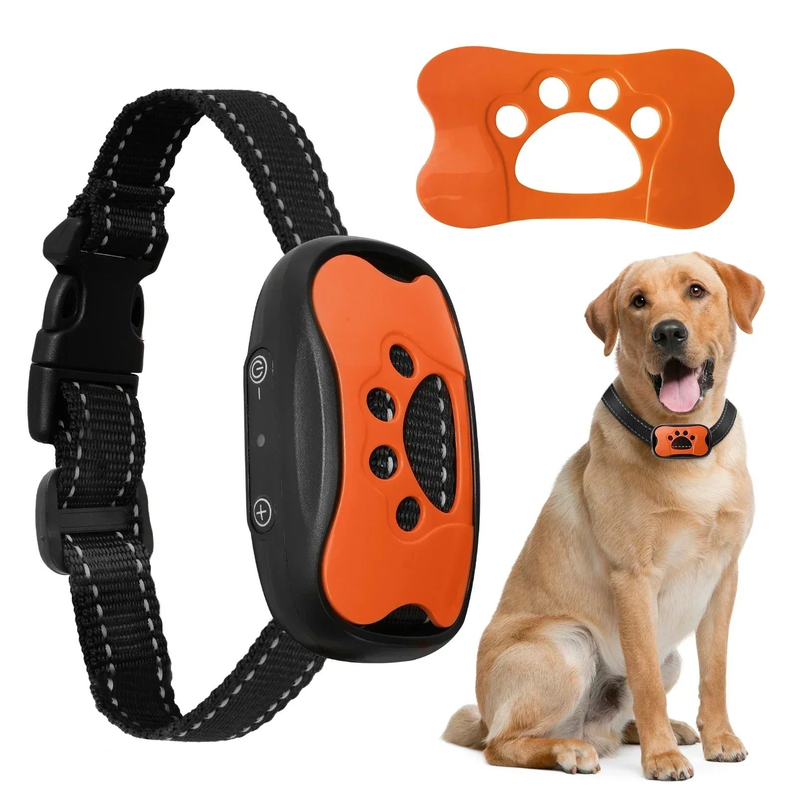 collier-anti-aboiement-orange-pattes