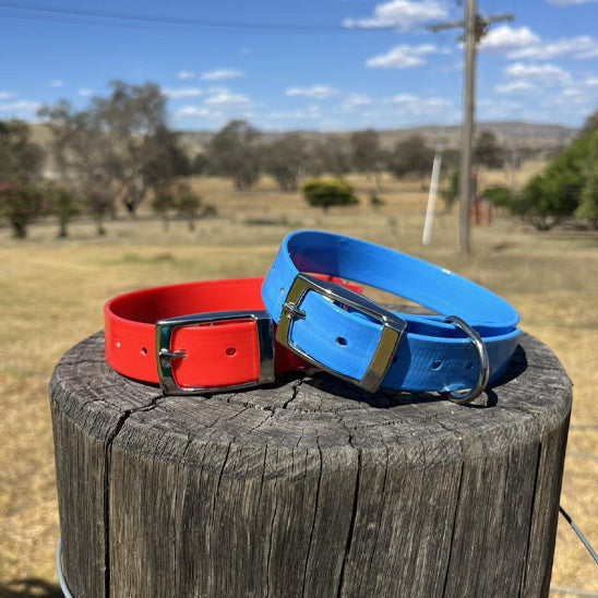 collier-chien-bleu-orange