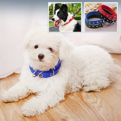 collier-chien-bleu