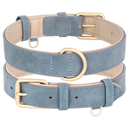collier-chien-couleur-bleu