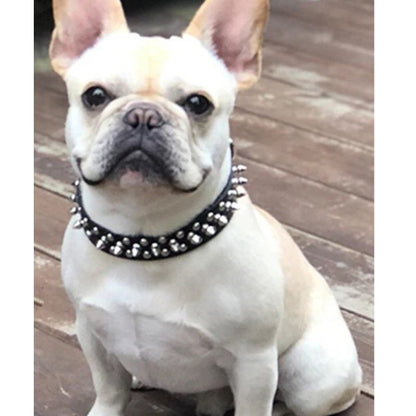 Collier Chien-SpikeCollar™
