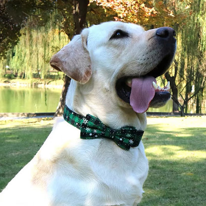 collier-chien-labrador-noel