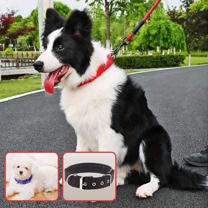 collier-chien-noir
