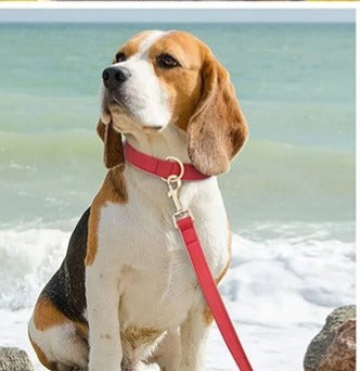 Collier chien - CoolDog™