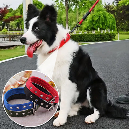 collier-chien-rouge
