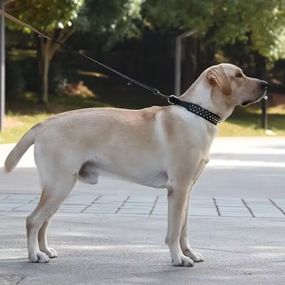 collier-chien-souple