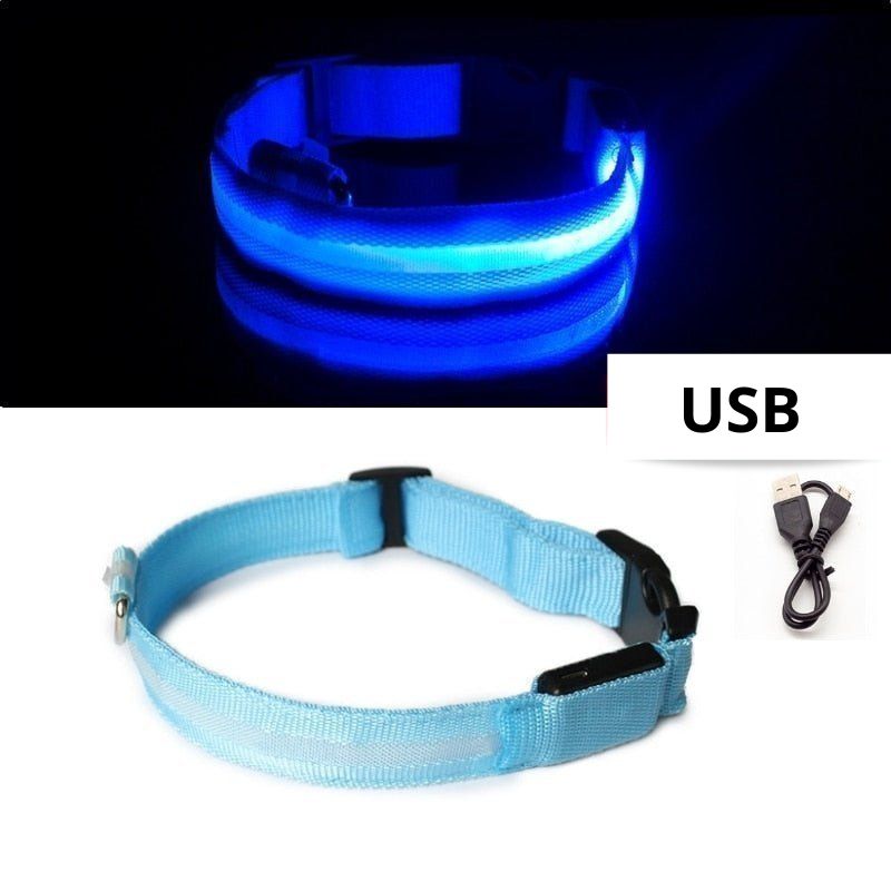 Collier lumineux pour chien - SafeCollar™