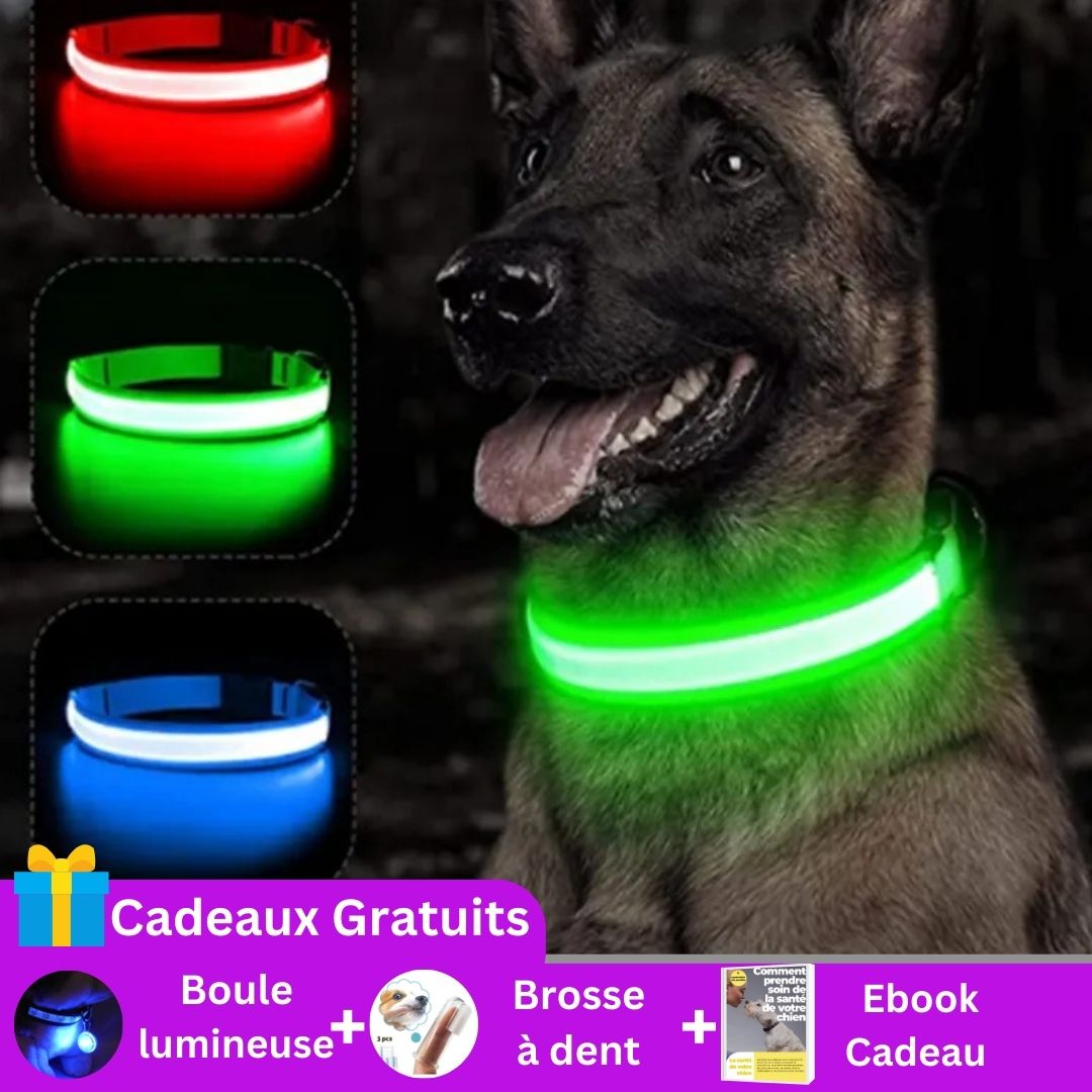 collier-lumineux-pour-chien-cadeau