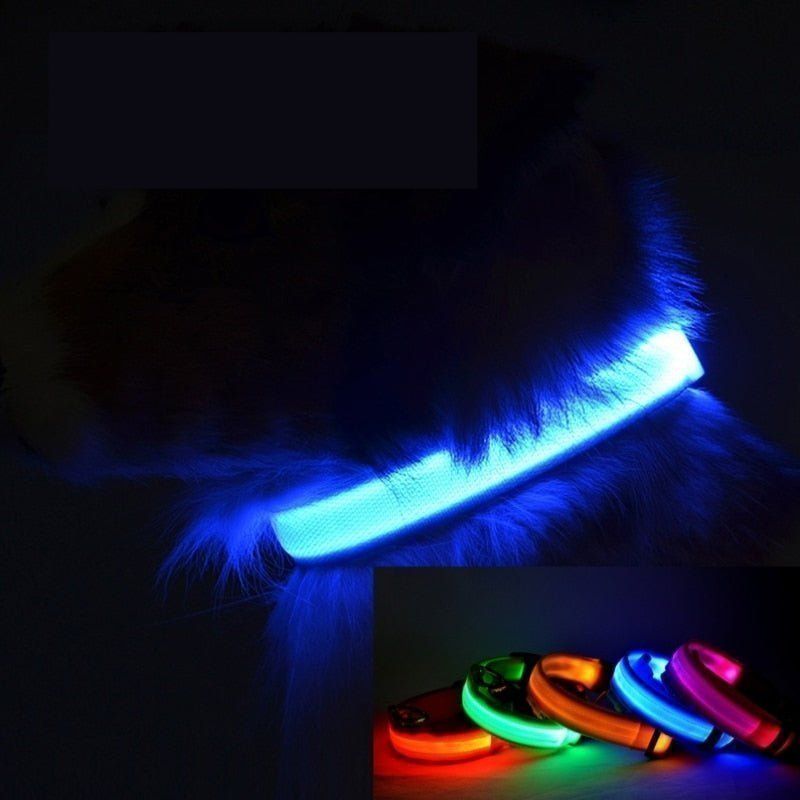 collier-lumineux-pour-chien-led