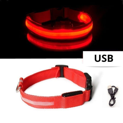 collier-lumineux-pour-chien-rouge