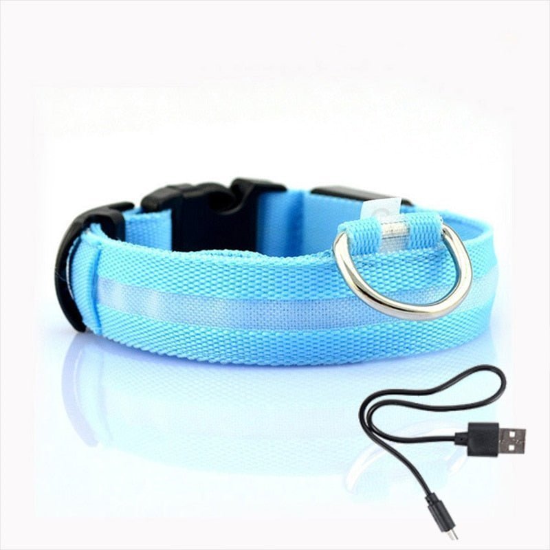 collier-lumineux-pour-chien-usb