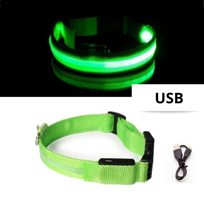 collier-lumineux-pour-chien-vert