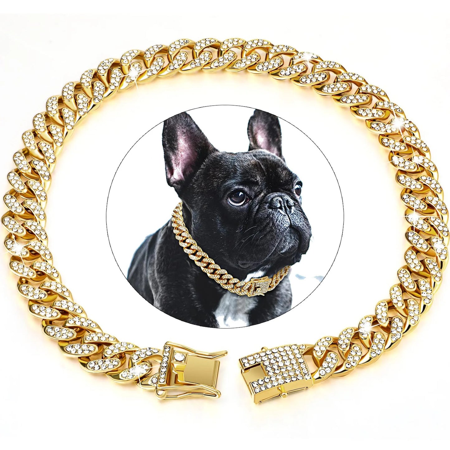 collier-pour-chien-couleur-or