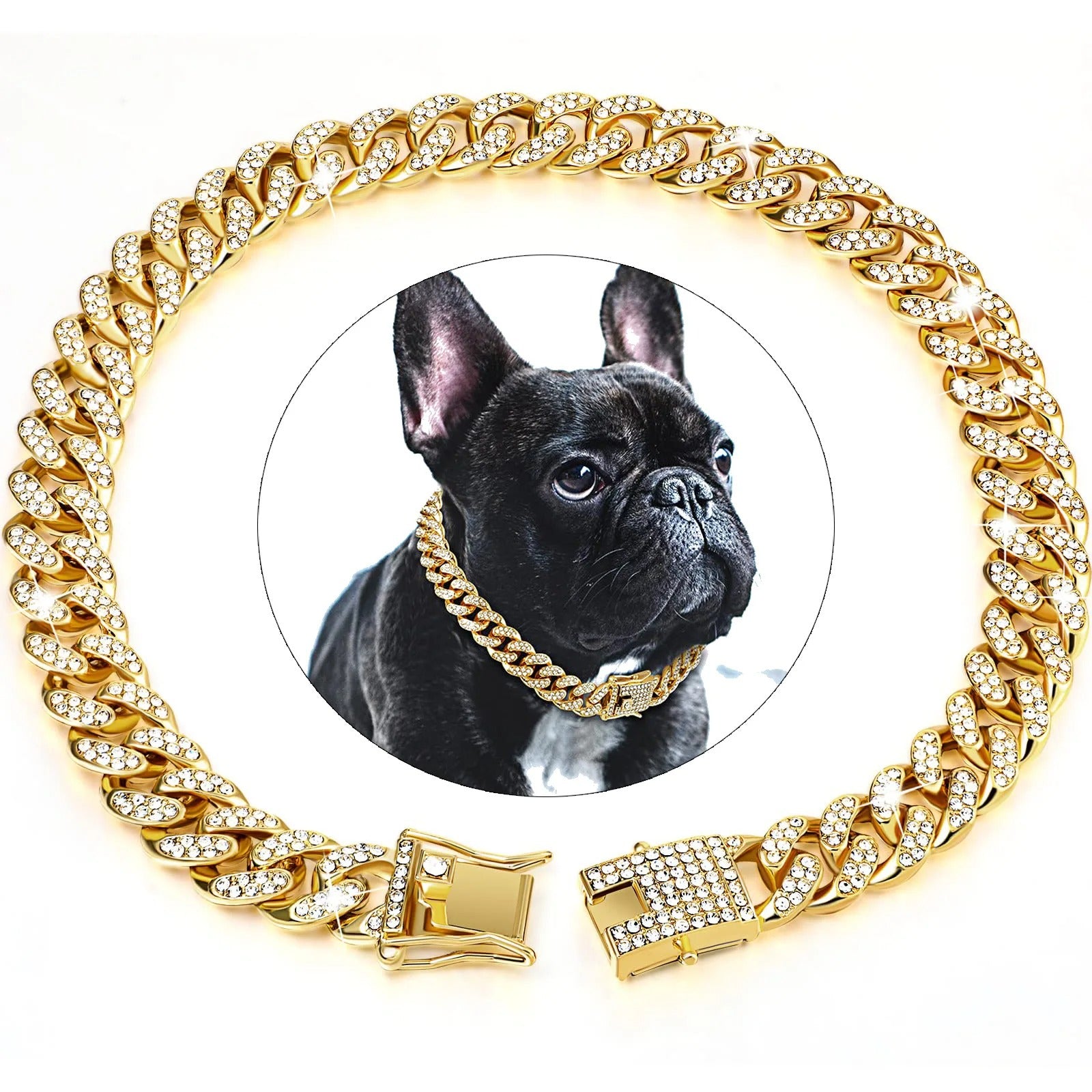 collier-pour-chien-couleur-or