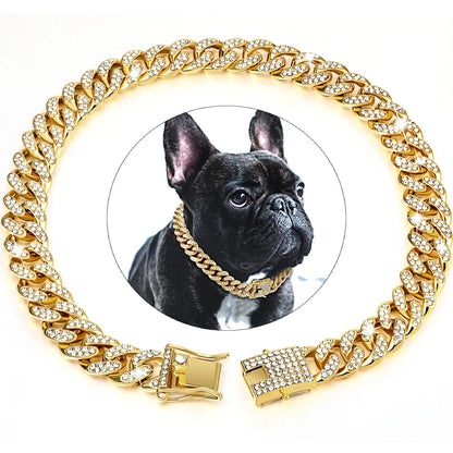 collier-pour-chien-couleur-or