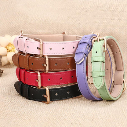 collier-pour-chien-variete-couleur