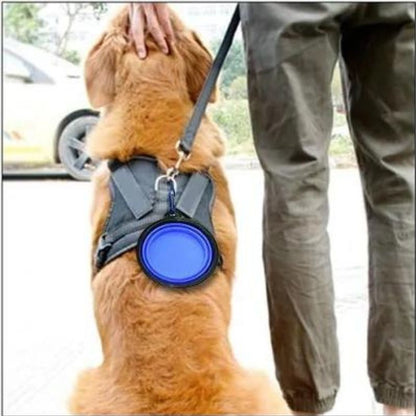 gamelle-de-voyage-pour-chien-bleu