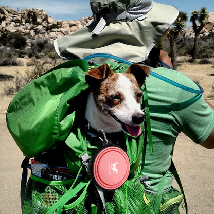gamelle-de-voyage-pour-chien-pliable