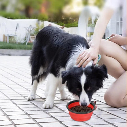 gamelle-de-voyage-pour-chien-rouge