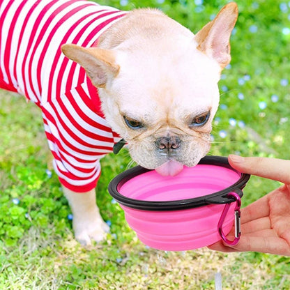 gamelle-de-voyage-pour-chien-vacance