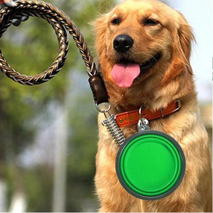 gamelle-de-voyage-pour-chien-vert