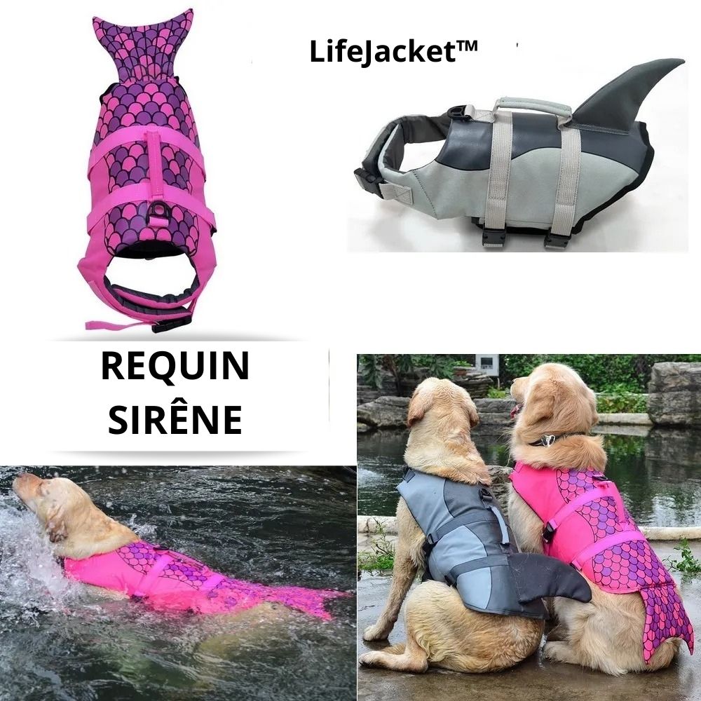 gilet-de-sauvetage-pour-chien-plage