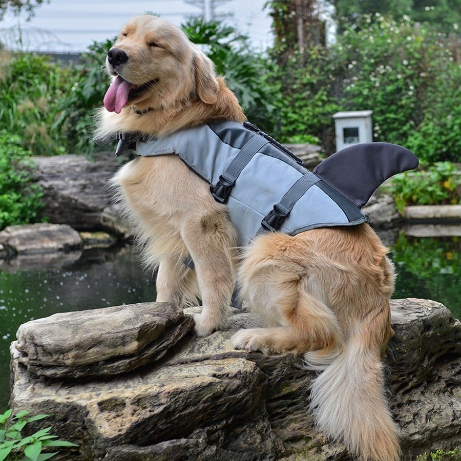 gilet-de-sauvetage-pour-chien-requin