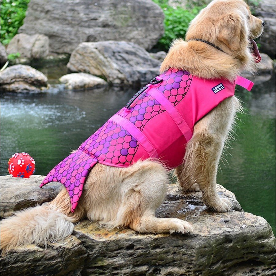 gilet-de-sauvetage-pour-chien-sirene