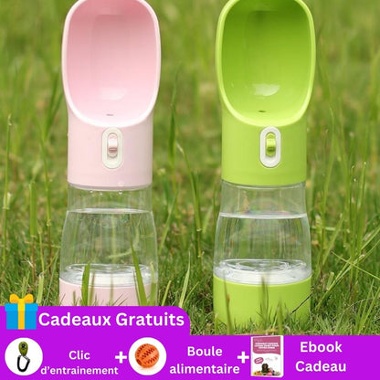 gourde-pour-chien-cadeau