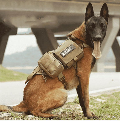 harnais-chien-de-service