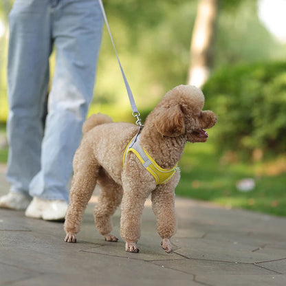 harnais-petit-chien-jaune